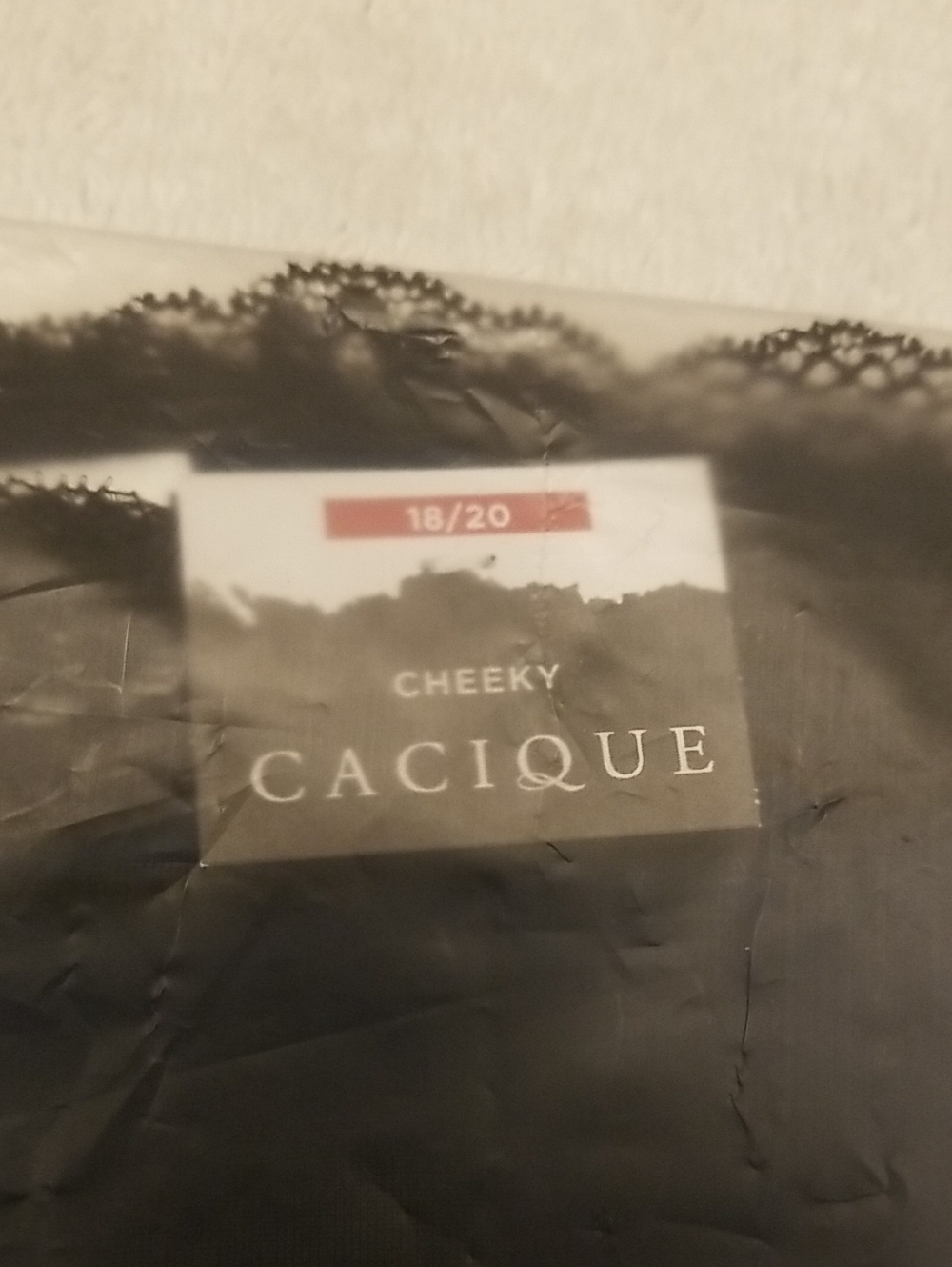 Cacique 18/20 Cheeky Panty - Picture 8 of 11